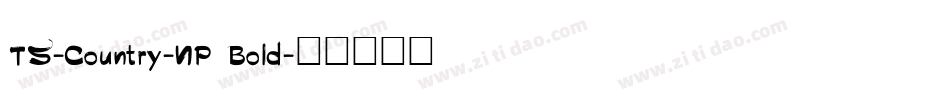 TS-Country-NP Bold字体转换